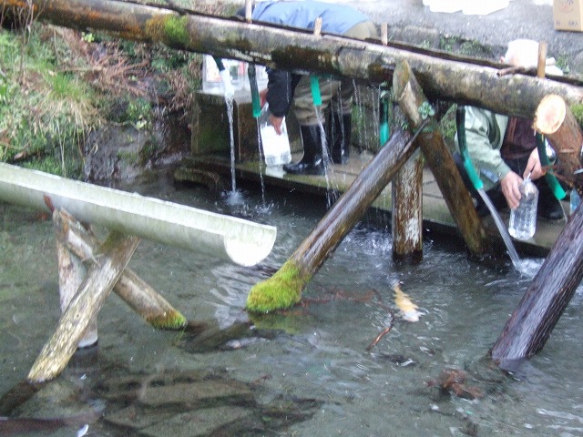 ファイル 16-1.jpg