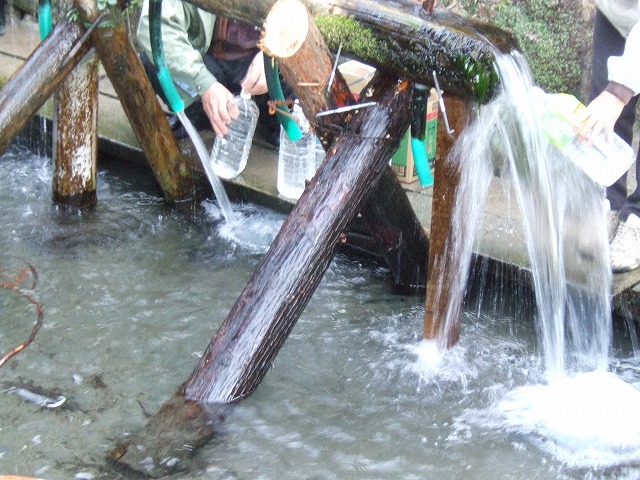 ファイル 16-2.jpg