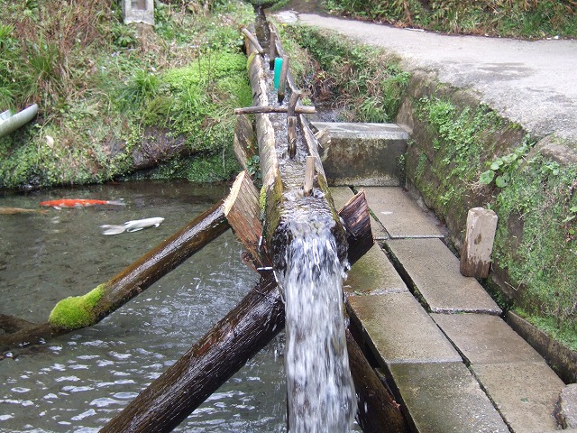 ファイル 16-4.jpg