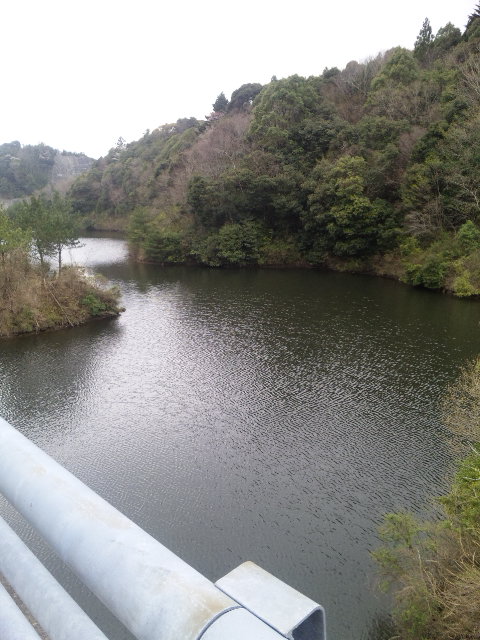 ファイル 17-2.jpg