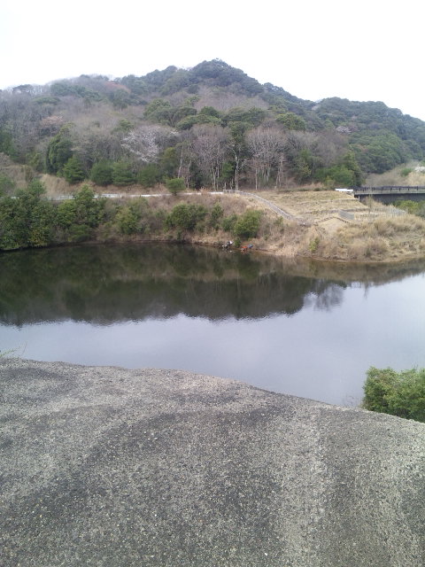 ファイル 17-3.jpg