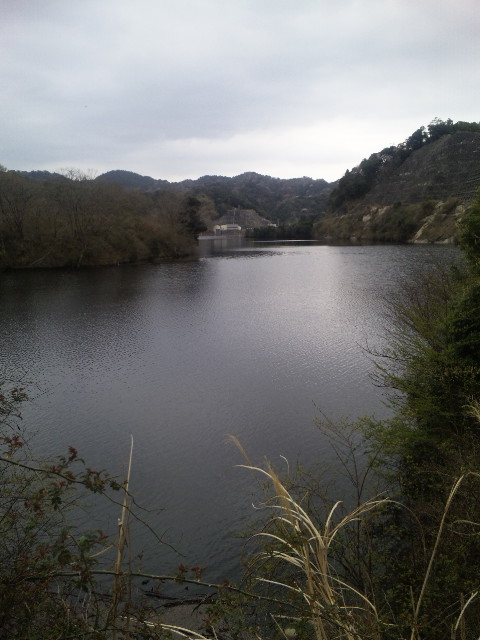 ファイル 17-4.jpg