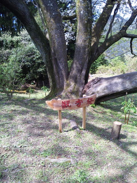 ファイル 18-2.jpg