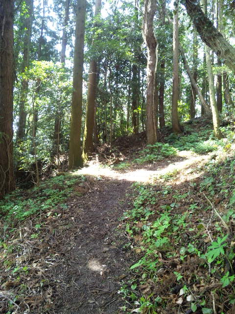 ファイル 18-3.jpg