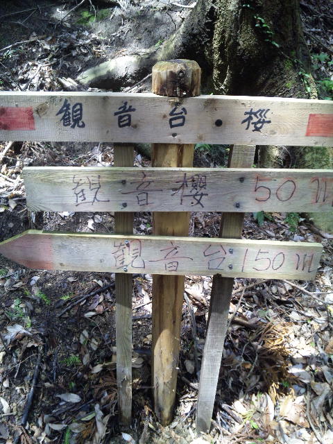 ファイル 18-5.jpg