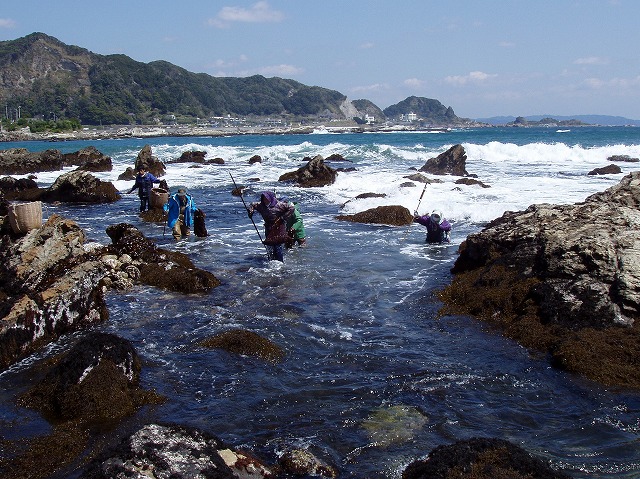 ファイル 20-1.jpg