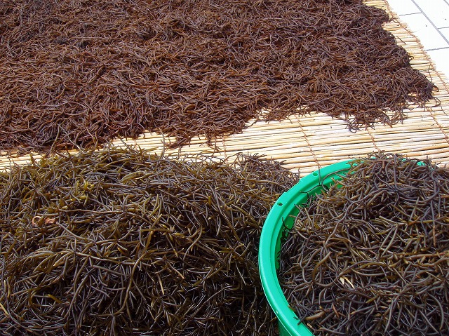 ファイル 20-2.jpg