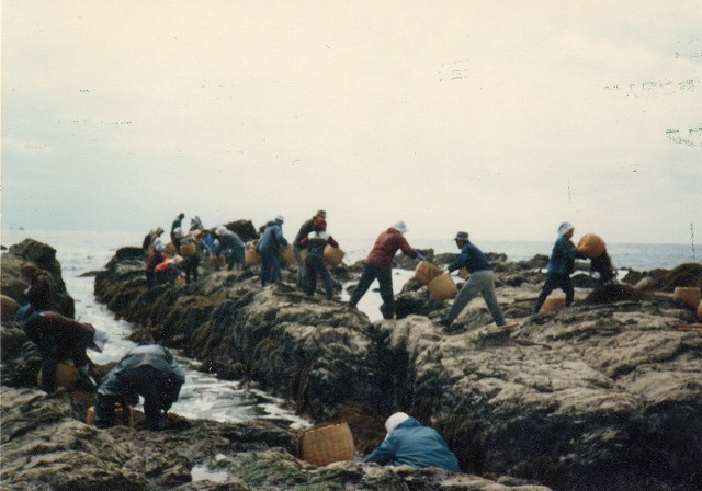 ファイル 20-3.jpg