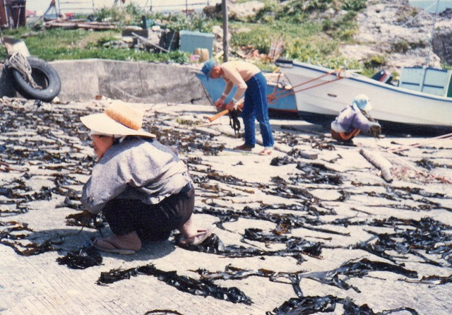 ファイル 20-4.jpg