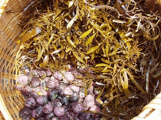 ファイル 21-2.jpg