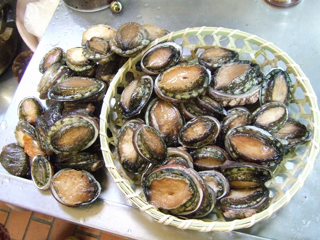 ファイル 21-3.jpg