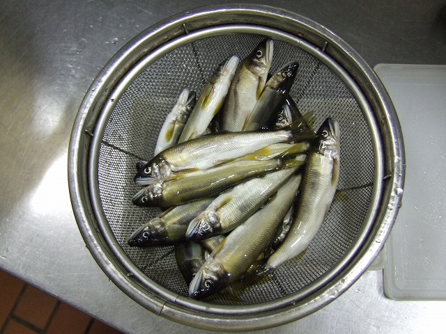 ファイル 24-1.jpg