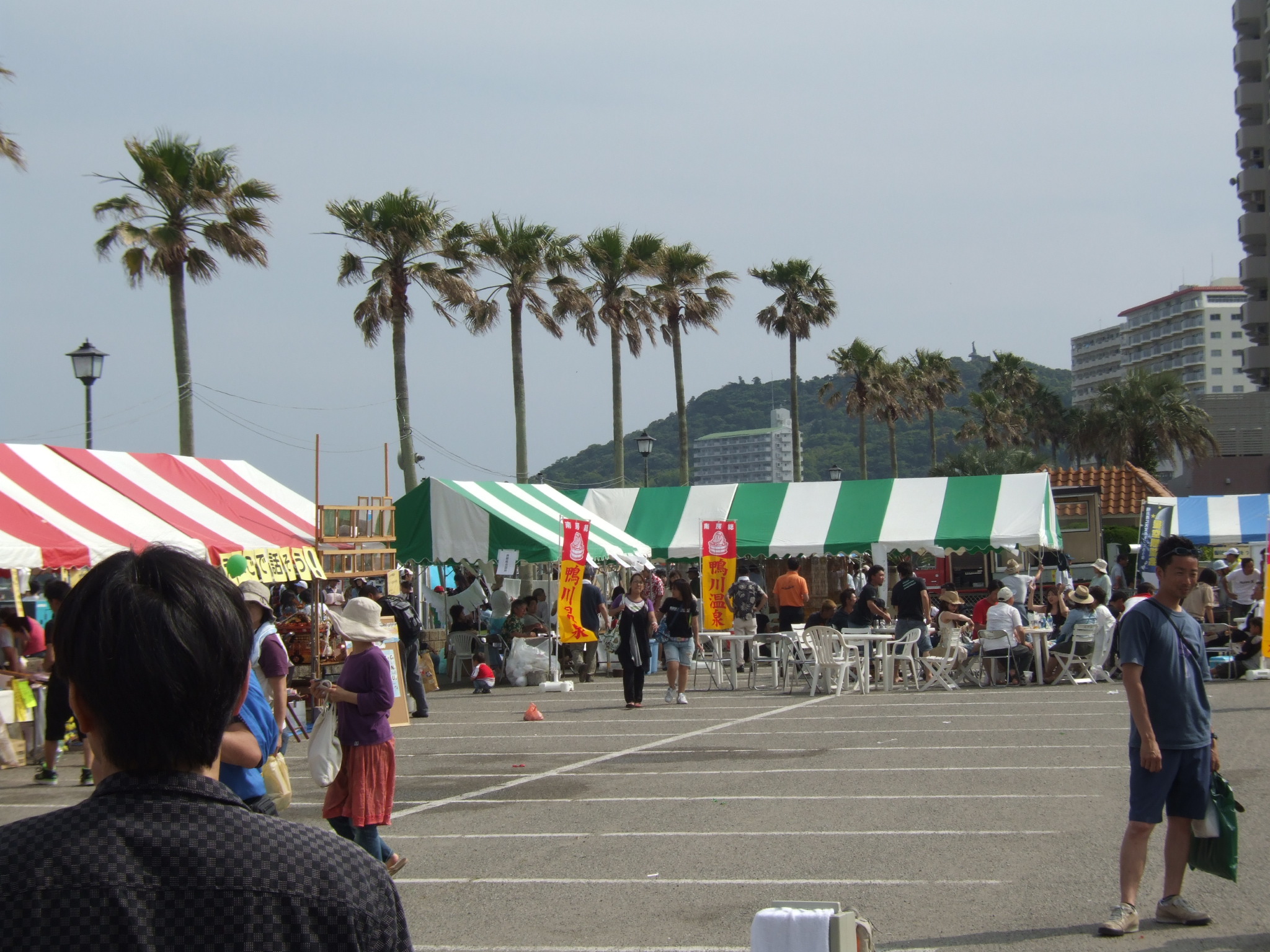 ファイル 25-1.jpg