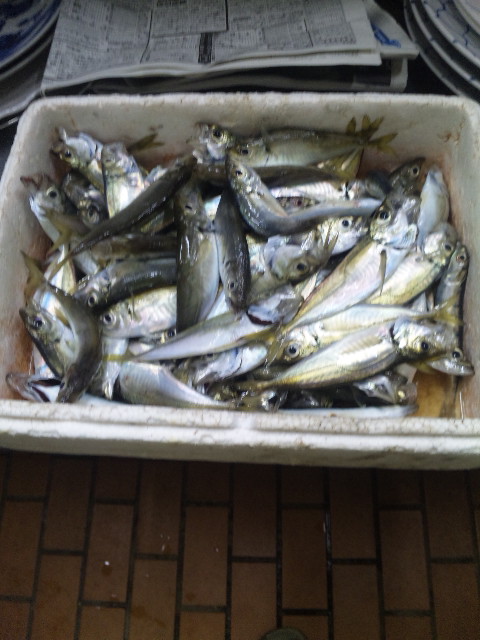 ファイル 26-4.jpg