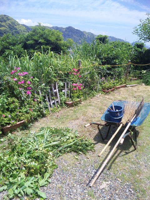 ファイル 27-1.jpg