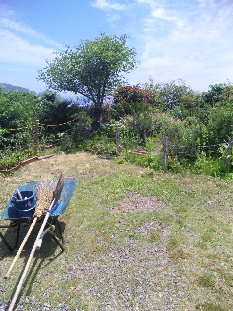 ファイル 27-2.jpg