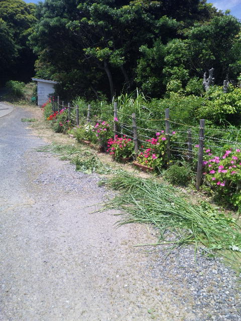 ファイル 27-3.jpg