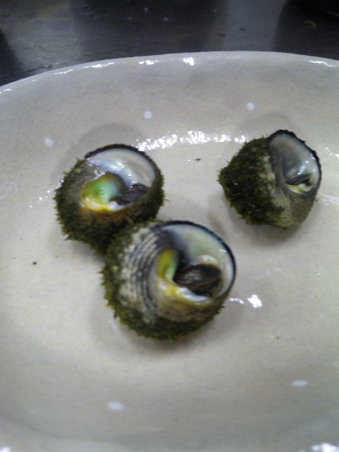 ファイル 28-2.jpg