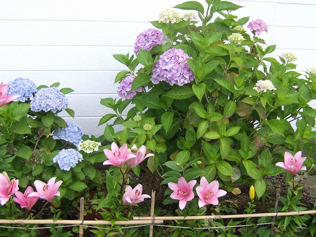 ファイル 29-3.jpg