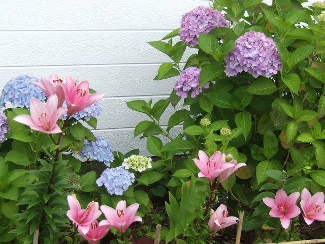 ファイル 29-4.jpg