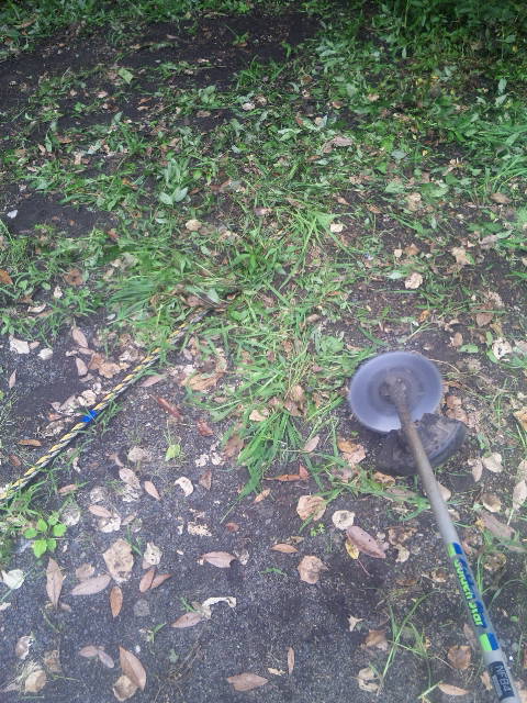 ファイル 30-1.jpg