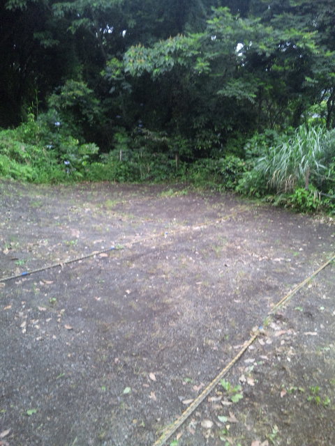 ファイル 30-2.jpg