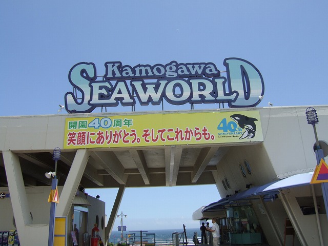 ファイル 33-1.jpg