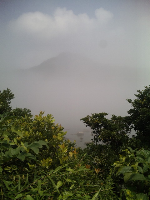 ファイル 39-1.jpg