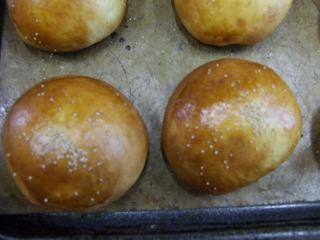 ファイル 43-2.jpg