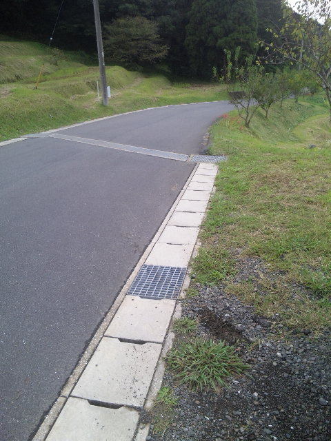 ファイル 45-1.jpg