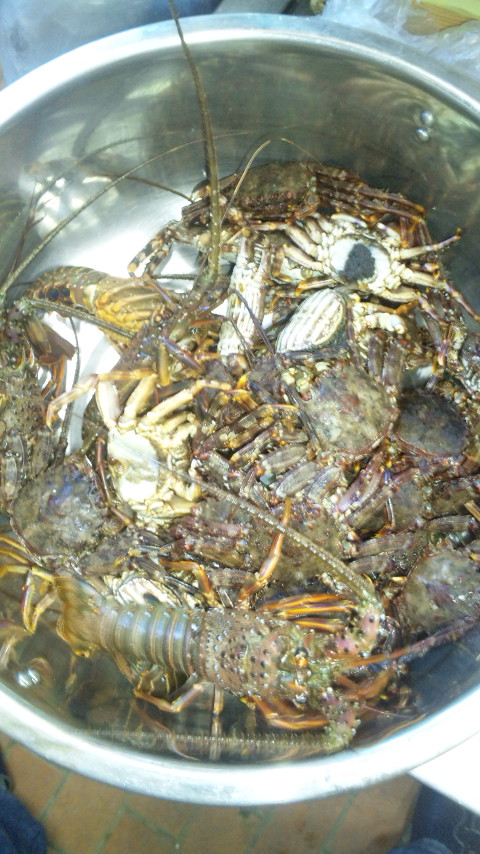 ファイル 47-1.jpg