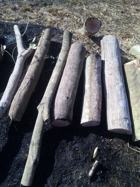 ファイル 53-1.jpg