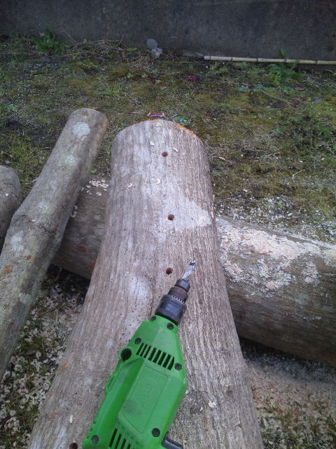 ファイル 53-2.jpg