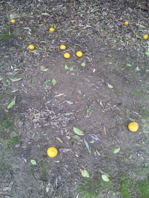 ファイル 57-2.jpg