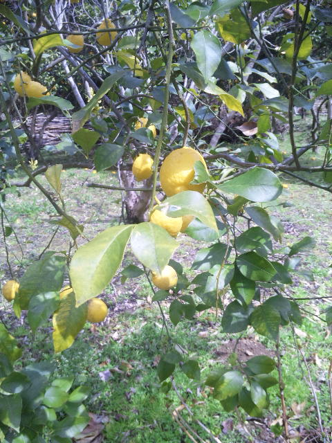 ファイル 57-3.jpg