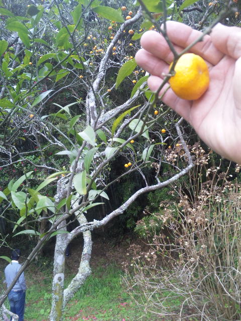 ファイル 57-4.jpg