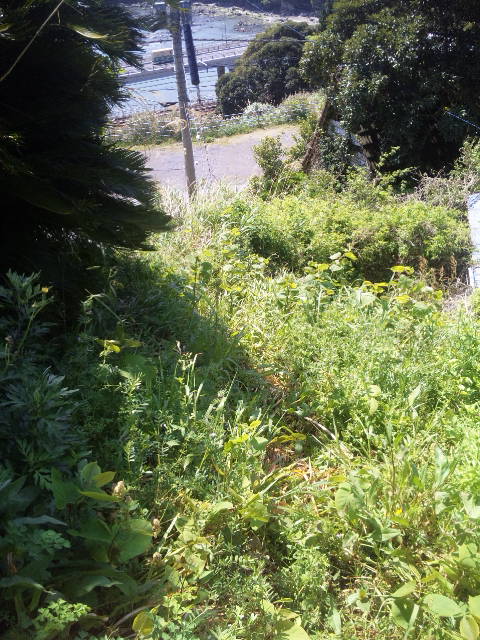 ファイル 58-1.jpg