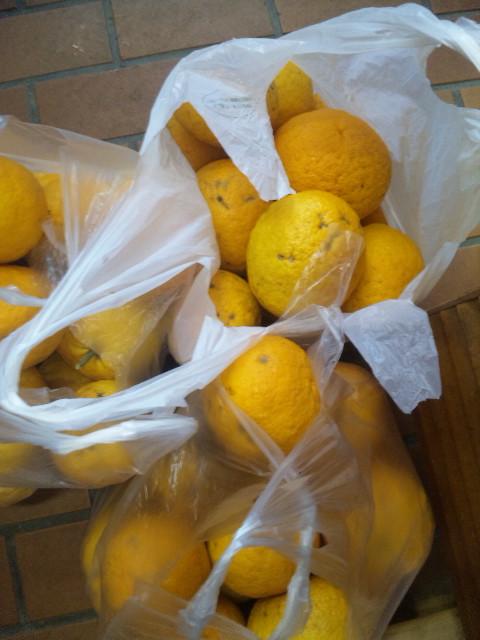 ファイル 58-3.jpg