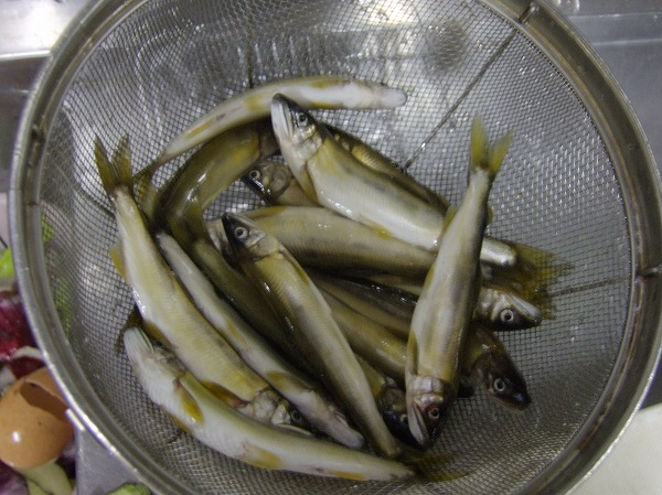 ファイル 59-1.jpg