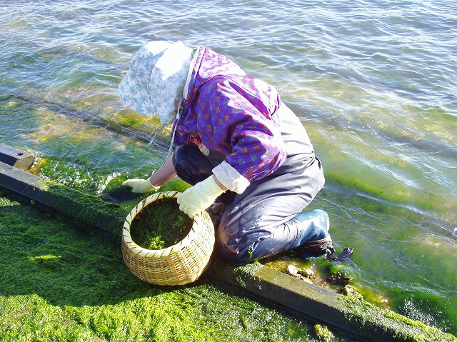 ファイル 7-1.jpg