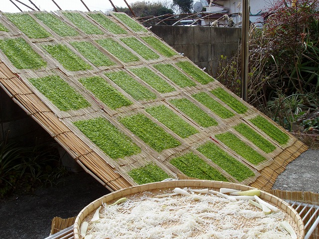 ファイル 7-2.jpg