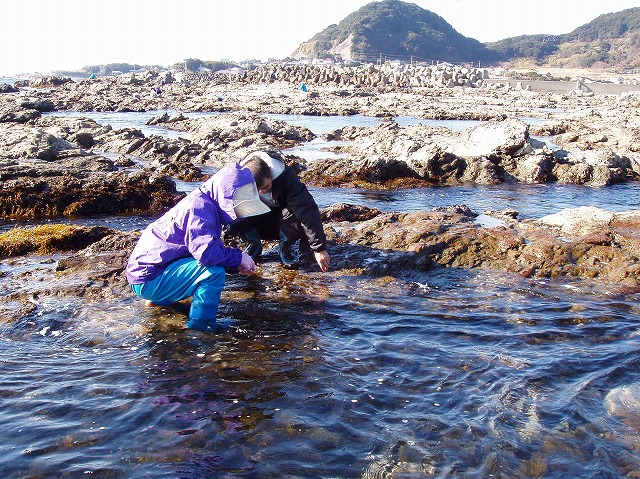 ファイル 8-1.jpg